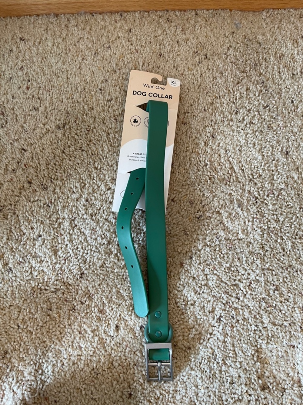 Wild One XL Dog‎ Collar in Teal Green